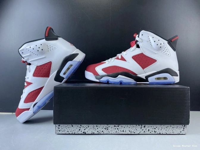 6 'CARMINE' 2014 384664-160 JORDAN RETRO AIR 0628